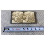 Antique International Stereograph Co Photos