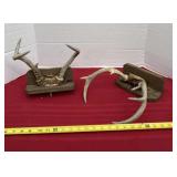 Mounted Deer Antlers
