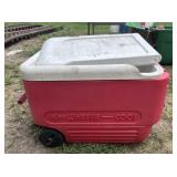 Igloo Cooler