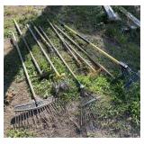Rakes and Aerator