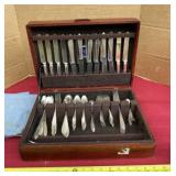Nackenï¿½s Silverware Set in Case