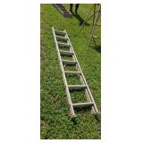 14 ft Aluminum Extension Ladder