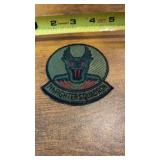 7th Fighter Squadron, nicknamed the "Screamin