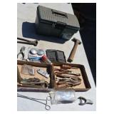 Toolbox Pan Tools Large Stainless Steel Forceps