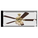 Ceiling Fan