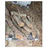 Firewood
