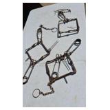 Steel Traps