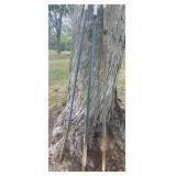 Three 6 Foot T Post