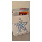 20 in Holographic Star