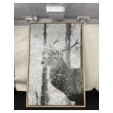 Ashland canvas Buck Print 16 x 24