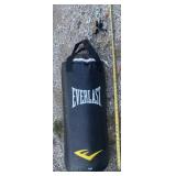 Everlast Punching Bag
