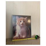 Framed Kitten Picture