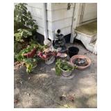 Flower Pots, Fountain And Real Plants