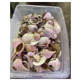 Seashells in Tote With Lid
