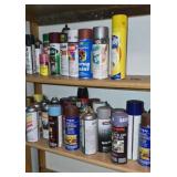 Shelves of Spray Paint