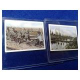 WWI TOBACCO COLLECTOR CARDS