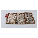 Seashells
