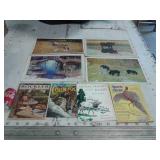 NATURE MAGAZINES, LAMINATED PLACE MATS