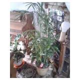 POTTED PLANT, ARTIFICIAL PLANT