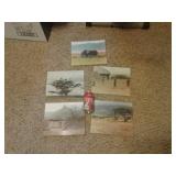 AFRICA PICS