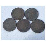 1906 Indian Head Pennies