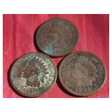 1893 Indian Head Pennies