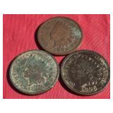 1895 Indian Head Pennies