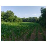 8.70 +/- ACRES. 4.5 TILLABLE, 4.2 ACRES WOODS