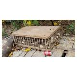 Chicken Cage