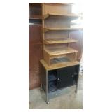 Cabinet and Shelving