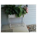 Wicker planter & Plants