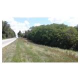 2 ACRE LOT W/WATER & ELECTRIC AVAILABL ON MAIN HWY