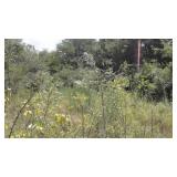 .8 ACRE W/WATER & ELECTRIC AVAILABLE ON MAIN HWY