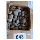 20 LB OF FOSSIL ROCKS