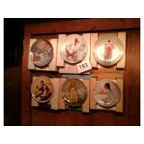 6 collector plates