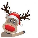 ***STOP & READ  ALL TERMS  BEFORE BIDDING**