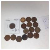 16) INDIAN HEAD PENNIES
