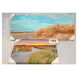 2 CANVAS ART DECOR...18X12, 30X12