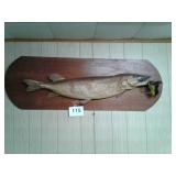 MOUNTED FISH