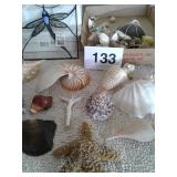 LARGE SEA SHELLS, NIGHT LIGHTS, WIND CIMES