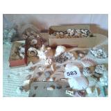 EXTREMELY LARGE COLLECTION OF SHELLS, WINDCHIMES