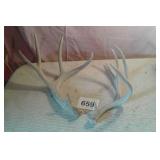 SET OF DEER ANTLERS