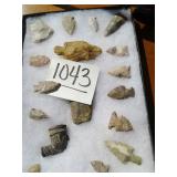 17 INDIAN HEADS W/ CASE