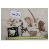 SHELLS, ANIMAL BONES