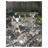 CONCRETE DEER