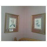 2 FRAMED FLOWER PICTURES