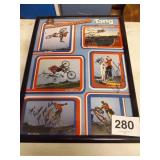 SCHWINN TANG BICYCLE STUNT TEAM POSTER