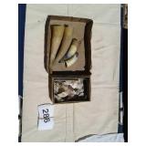 Powder horns in rock collection