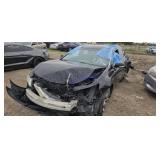 2010 Acur TL 19UUA8F5XAA012461 Accident