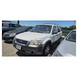 2005 FORD ESCAPE 1FMYU03195KC45298
